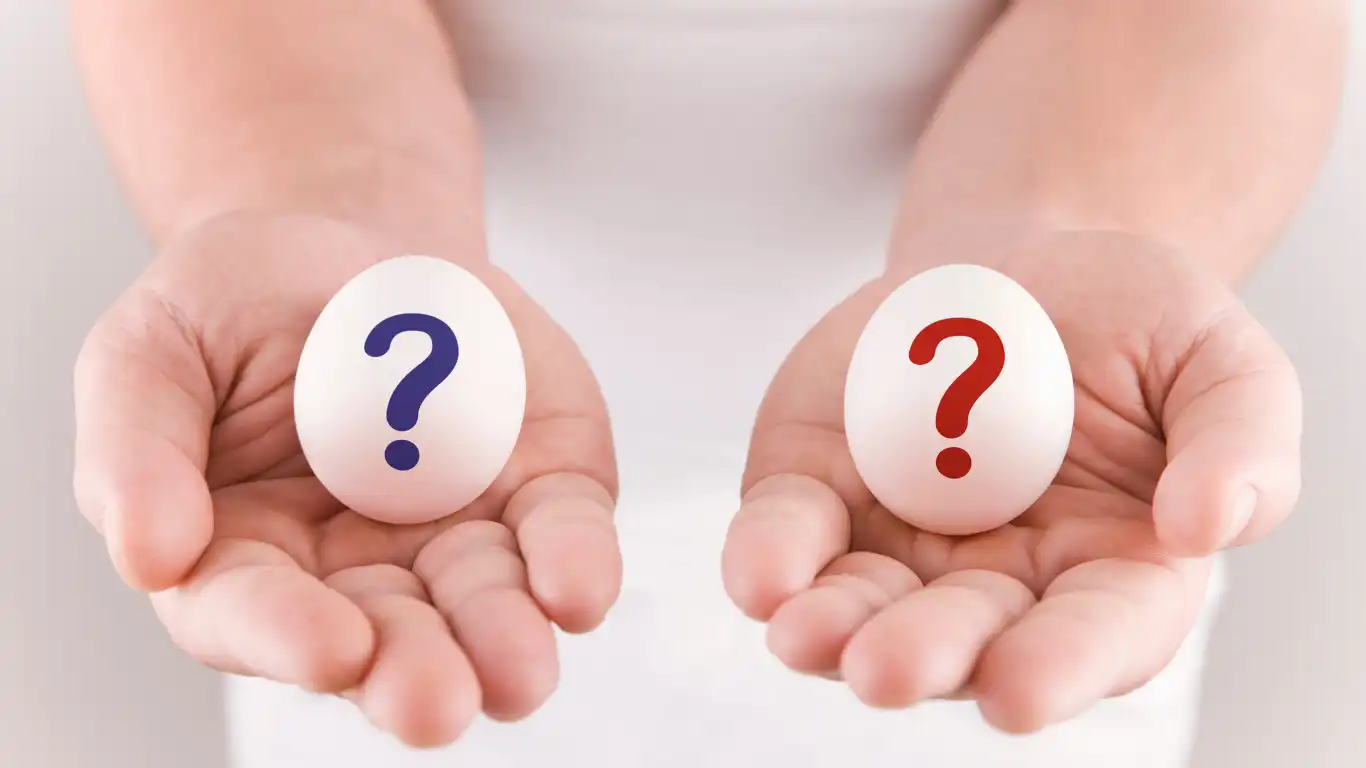 青と赤で？お書かれた卵を両手で持っている