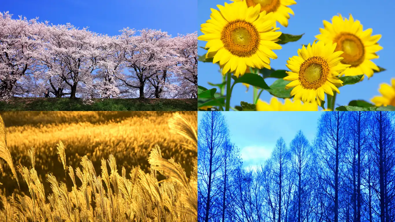 四季のイメージ
